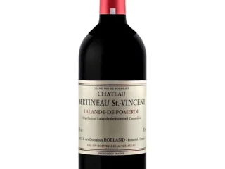 chateau bertineau st vincent