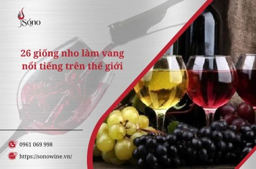 các giống nho làm vang