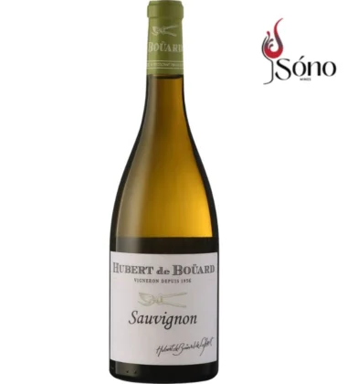 ruou-vang-hubert-de-bouard-sauvignon