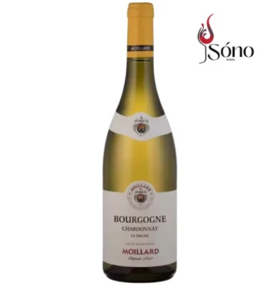 Rượu vang Moillard Bourgogne Chardonnay