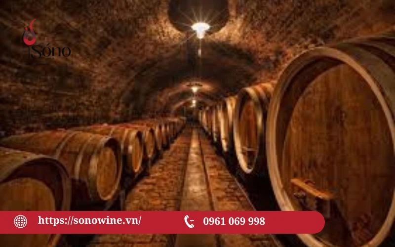 thời gian ủ nho
