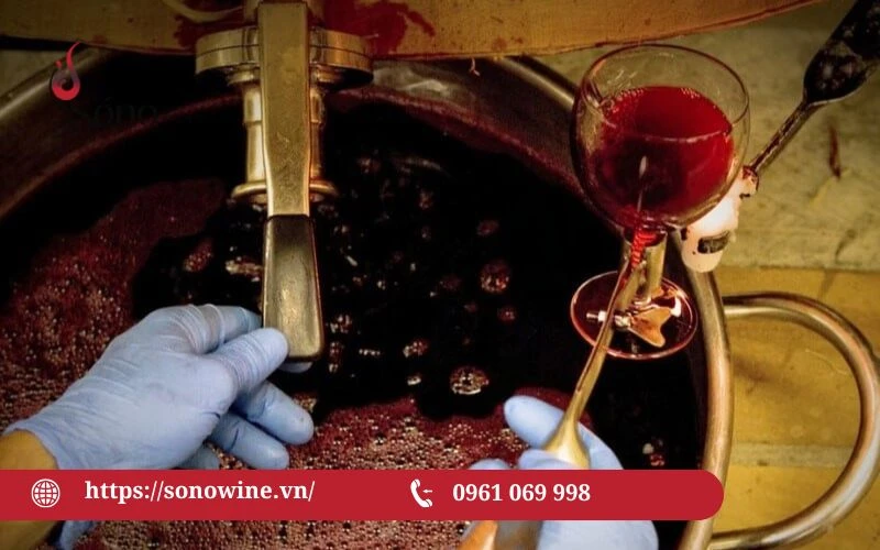 các yếu tố ảnh hường tới chất lượng rượu