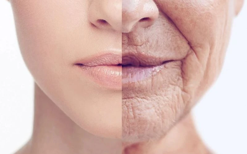 Tác Dụng Làm Đẹp Của Rượu Sake