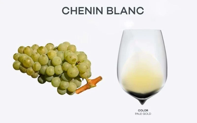 Top rượu vang trắng ngon nhất từ các giống nho nổi tiếng