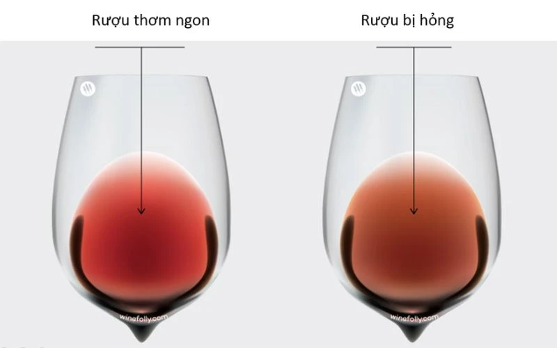 Nhận diện rượu vang bị hỏng qua 5 dấu hiệu đơn giản