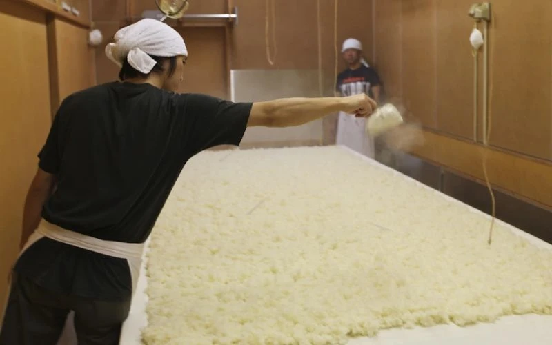 Quá trình sản xuất rượu Sake