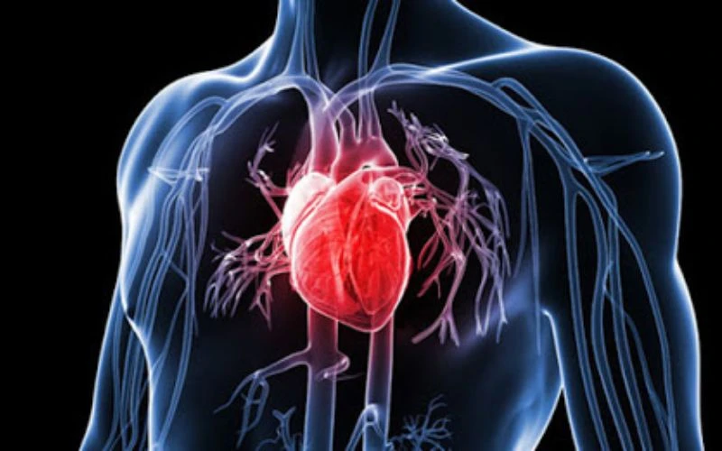 Lợi ích sức khỏe của rượu sake