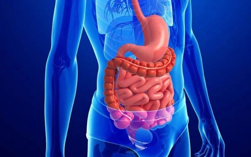 Lợi ích sức khỏe của rượu sake