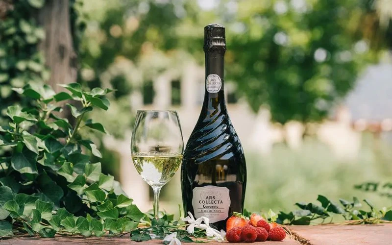 Brut Champagne, Prosecco Brut, Cava Brut: Có gì khác nhau?Champagne Brut