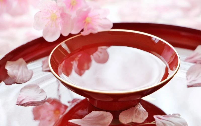 5 Loại Chén Và Ly Uống Rượu Sake Phổ Biến