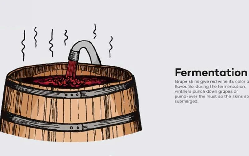 quá trình lên men rượu vang