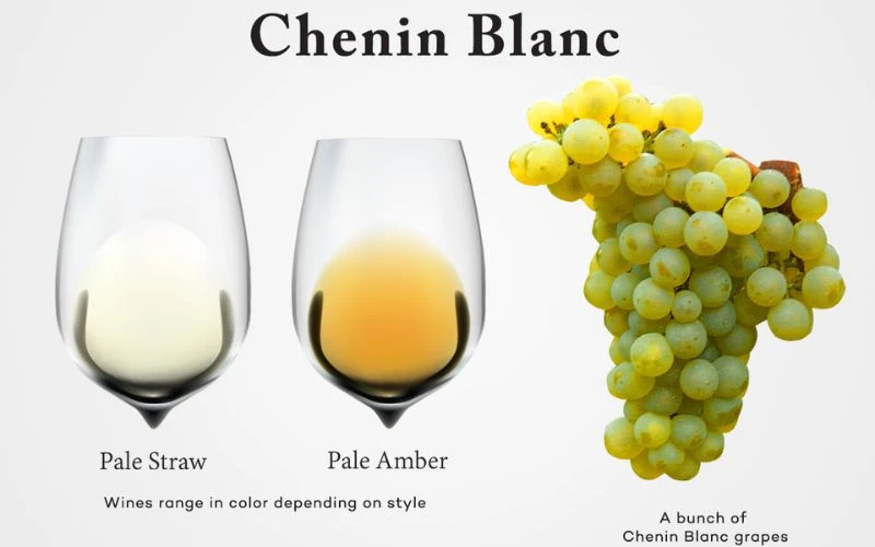 Phân loại rượu vang Pháp theo giống nho