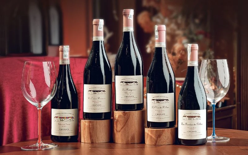 Phân loại theo vùng vang nổi bật của Pháp