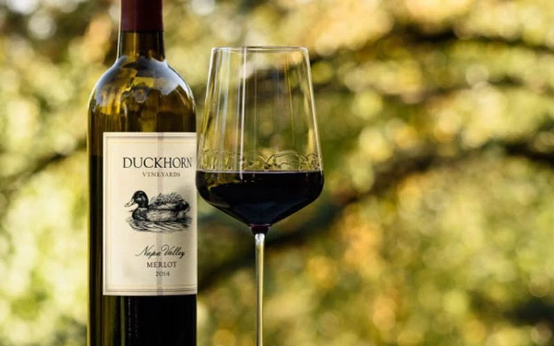 Phân loại rượu vang Pháp theo giống nho