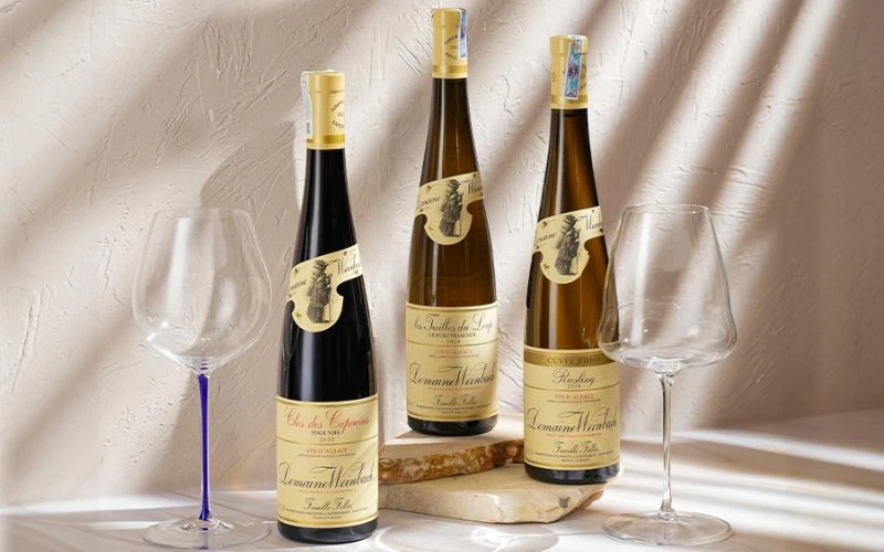 7 Vùng Rượu Vang Pháp Nên Biết