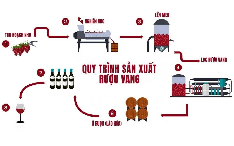 Chi tiết quy trình sản xuất rượu vang Pháp chuẩn quốc tế