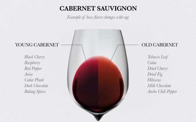 Hương vị đặc trưng của rượu vang Cabernet Sauvignon