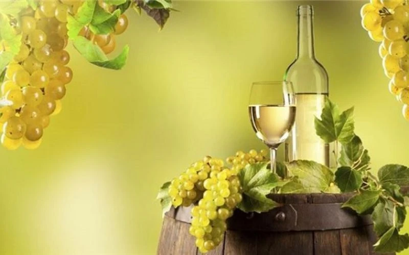 Những vùng sản xuất rượu vang Chardonnay nổi bật nhất