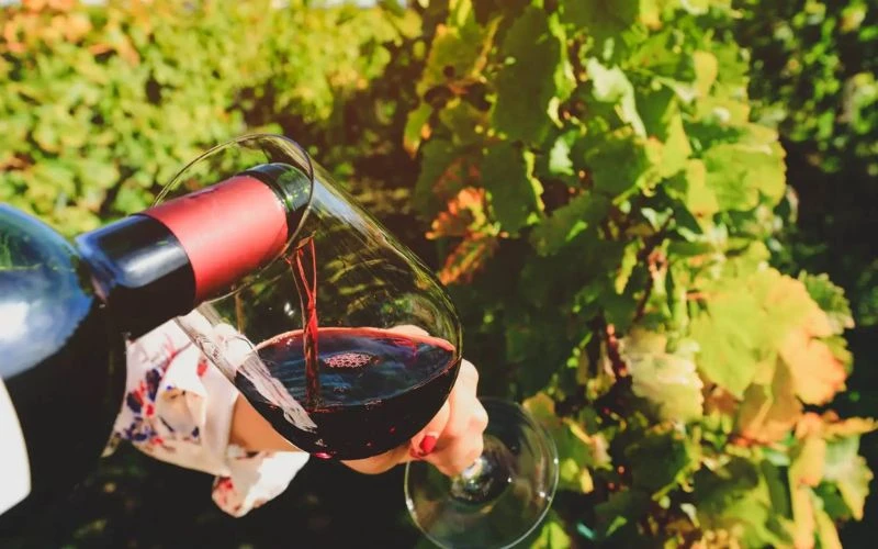 Đặc điểm và hương vị rượu vang Chateau