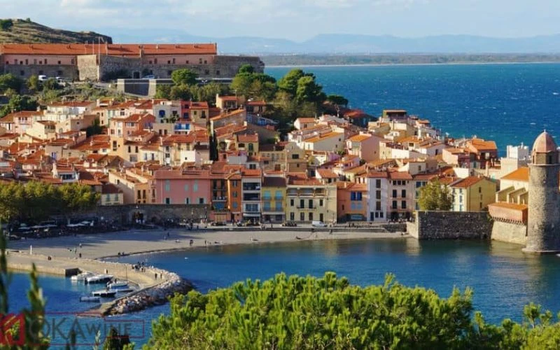 Giới thiệu chung về rượu vang Languedoc