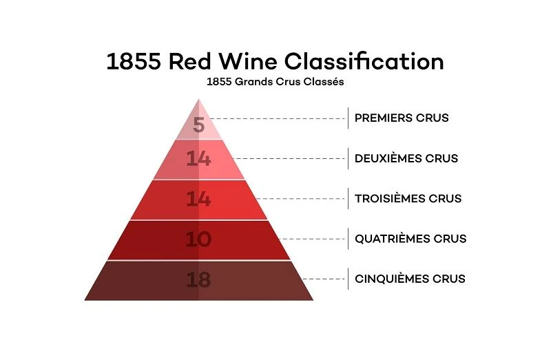 Phân loại theo vùng