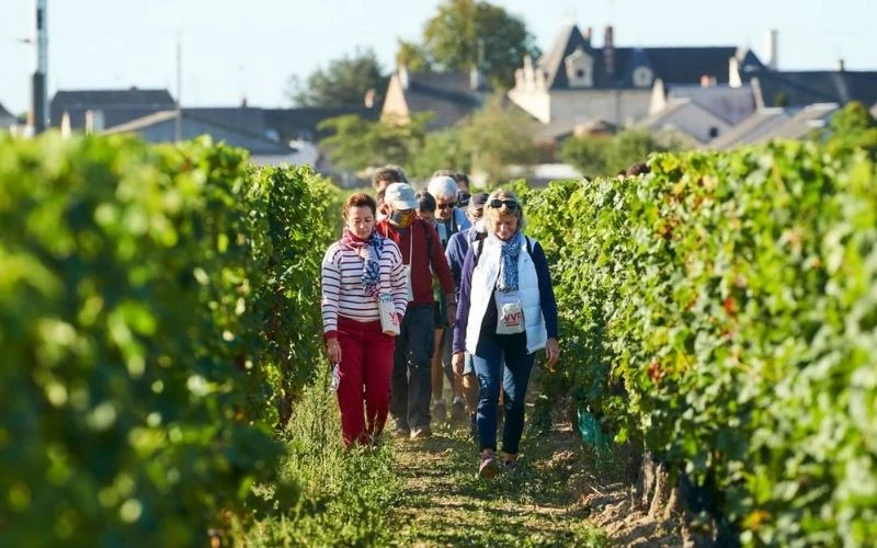 4 lễ hội rượu vang lớn ở Pháp bạn không nên bỏ lỡ