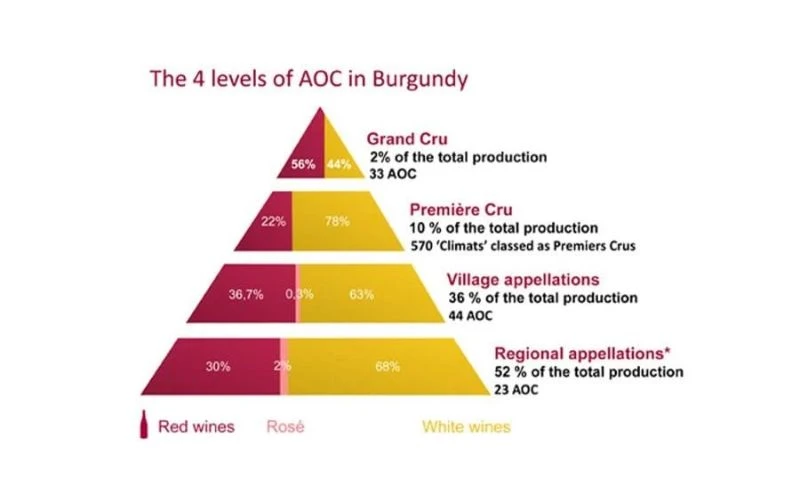 Tổng quan hệ thống phân loại vang Burgundy