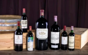 phân biệt vang grand cru, premier cru và village trong burgundy