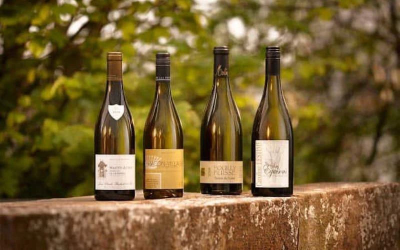 Rượu vang trắng của các vùng nổi bật tại Pháp