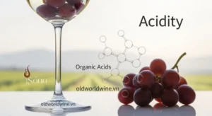Acidity trong rượu vang - Bí quyết tạo nên hương vị hoàn hảo
