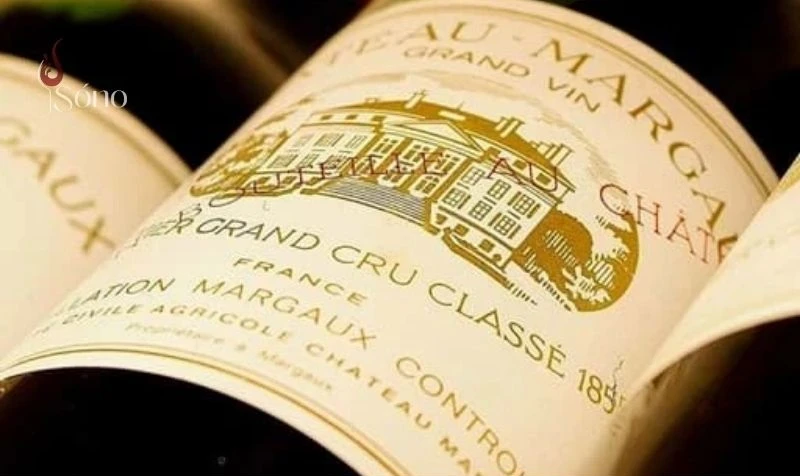 Cru là gì trong rượu vang của vùng Burgundy