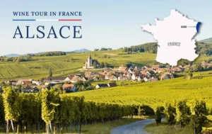 Khám phá hương vị Phát tinh tế tại vùng làm rượu vang Alsace