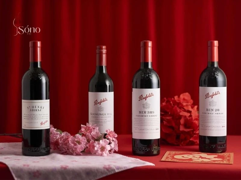 Các loại rượu vang làm món quà biếu tết phổ biến