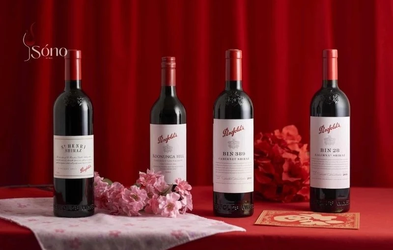 Các loại rượu vang tặng 20/11 có hương vị thơm ngon nhất