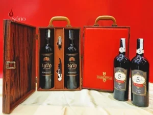 Địa chỉ chọn rượu vang biếu tết chính hãng, đảm bảo chất lượng cao