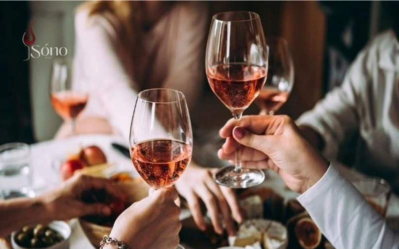 Nên chọn đa dạng các loại rượu vang cho bữa tiệc cuối năm theo khẩu vị