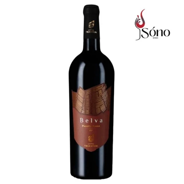 Rượu vang Belva Passito Rosso Colli Aprutini biếu đối tác cuối năm