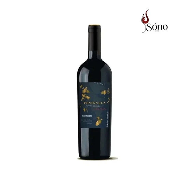 Chai rượu vang Chile Ventisquero Peninsula Limited Edition Carmenere làm quà biếu Tết