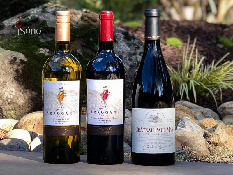 SonoWine - Địa chỉ mua rượu vang chính hãng uy tín, đảm bảo chất lượng
