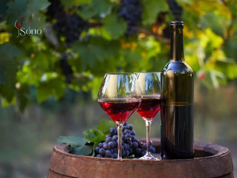 Các yếu tố ảnh hưởng đến giá của chai rượu vang đỏ