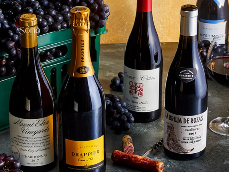 Khám phá các loại rượu vang ngon giá rẻ và top 10 chai vang đáng thử nhất