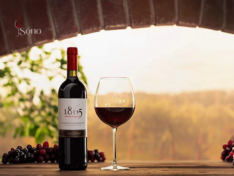 Rượu vang đỏ Chile mang đến hương vị trải nghiệm mạnh mẽ