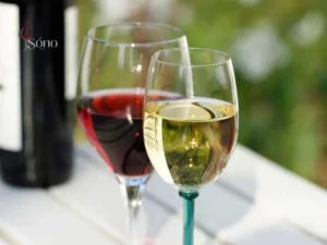 Rượu vang trắng hay vang đỏ ngon hơn? Đánh giá khách quan nhất