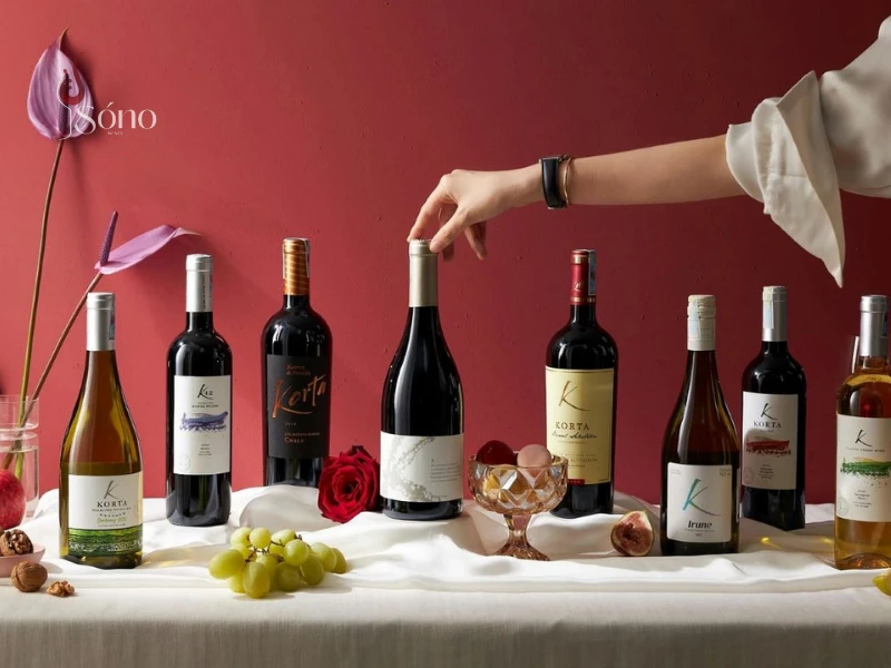 ruou vang do tu vung maipo valley chile