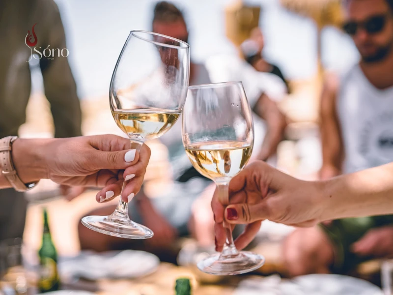 Uống lượng rượu vang vừa đủ trong ngày Tết