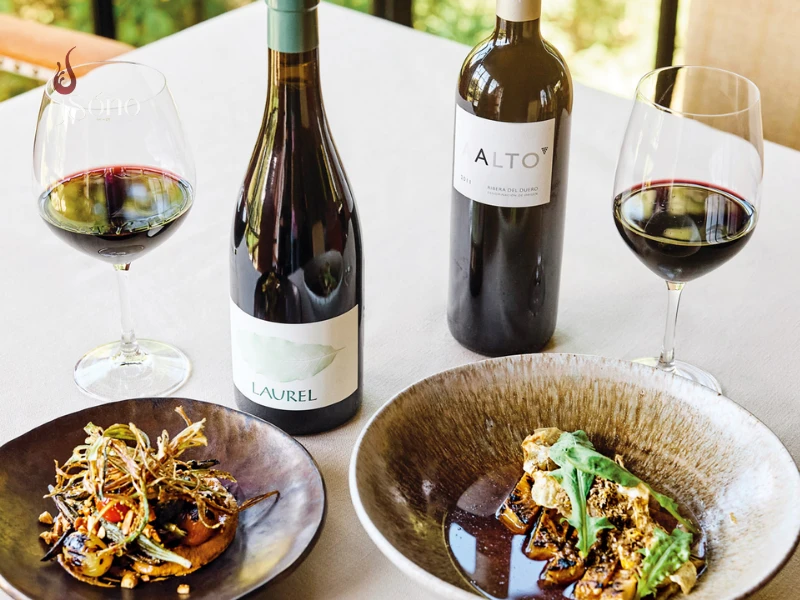 Uống rượu vang đỏ khi ăn hải sản chế biến với món sốt