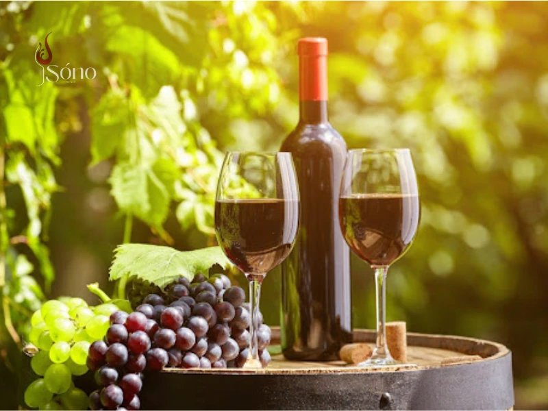 Các yếu tố ảnh hưởng đến nồng độ cồn trong chai rượu vang