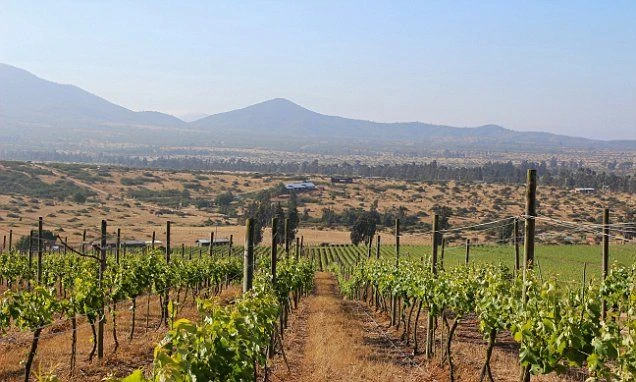 Các vùng làm rượu vang Chile