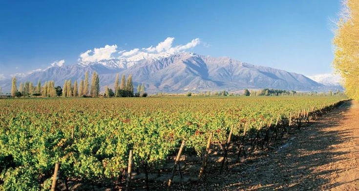 Các vùng làm rượu vang Chile 2