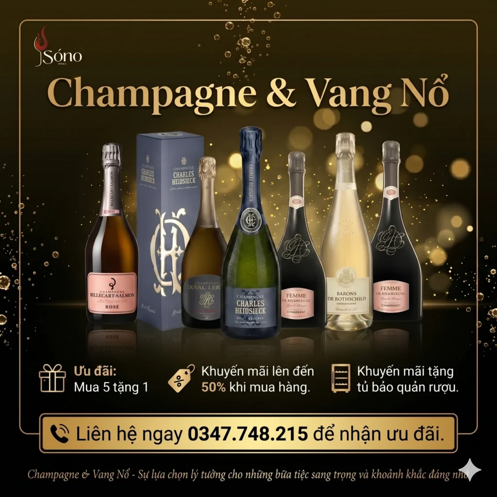 banner popup 01